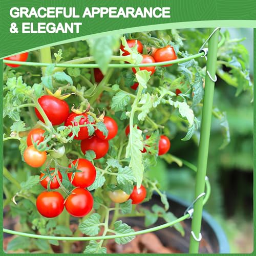 KLS 3 Pack Tomato Cage for Pots Plant Support, Upgrade 24 Inches Tomato Cages for Garden, Pepper Cage Trellis Kit with Plant Tie and Clips (24") - size: 24"