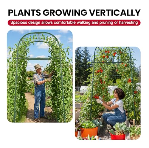 Garden Arch Trellis for Climbing Plants Outdoor, 7 Ft Tall Cucumber Trellis - size: 31.5"L x 50"W x 84"H - Arch Trellis