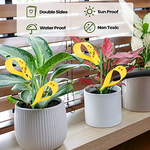 Qualirey 150 Pcs Yellow Sticky Houseplant Traps Gnat Stakes Indoor - color: Yellow