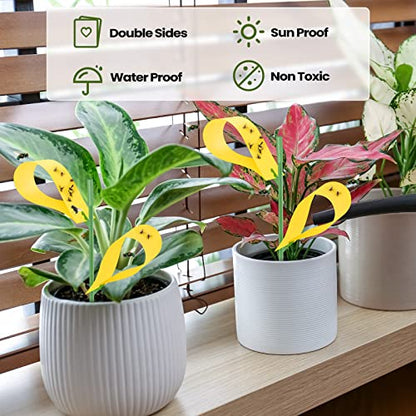 Qualirey 150 Pcs Yellow Sticky Houseplant Traps Gnat Stakes Indoor - color: Yellow