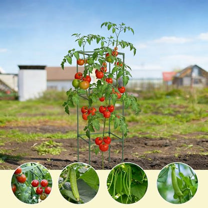 3-Pack Square Tomato Cages, 47.2" Tall Heavy-Duty Plant Support with 11mm Thick Stakes, Adjustable 3-Tier Tomato Trellis for Raised Beds, Large Planters & Climbing Vegetables