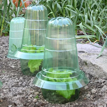 10 Pack Slug Collars for Plants
