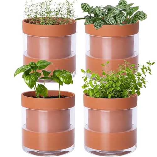 Phoenix Vine 4 Inch Self Watering Planter Pot, Terracotta Clay Pot with Glass Reservoir for Indoor Plants, Herbs, Flowers, Set of 4, 52-A-E-4 - color: Terracotta, size: 4" (4 Pack)