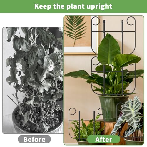 8 Pack Trellis for Climbing Plants Indoor, Expandable Small Metal Trellis for Potted Plants, Flowers Vine Ivy, Sturdy Houseplant Pothos Plant Climber Support - size: 8 Pack-15in(H)x10in(L)