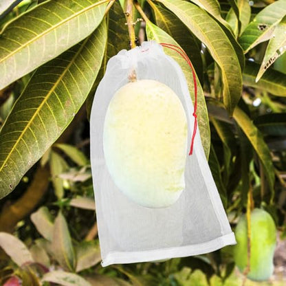 Fruit Bags for Fruit Trees, 100 PCS 6x10 Inch Fruit Protection Bags with Drawstring, Garden Netting Mesh Fruit Cover Bag for Grape, Tomato, Peach, Apple, Flower from Birds Bugs - size: 6"x10"/Pack of 100