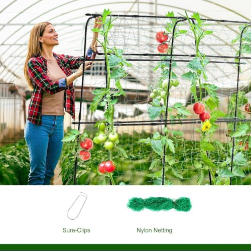 Cucumber Trellis for Raised Bed, 63" Hx63 L, Black - size: 5 x 2 x 5 ft, Arch Tunnel, Black