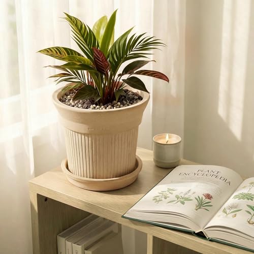 White Terracotta Pots 2 Pack 6 & 8 Inch Ceramic Planters