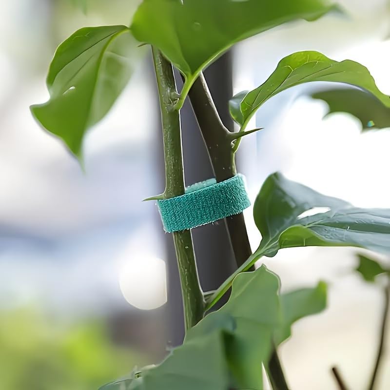 Gardening Plant Ties Self Adhesive Reusable Adjustable 39.4 Inch 3/5/10 Pack for Stems Trellis Vines Indoor Outdoor, 10pcs - size: 10pcs