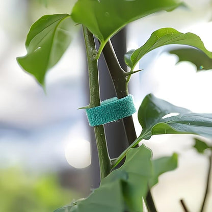 Gardening Plant Ties Self Adhesive Reusable Adjustable 39.4 Inch 3/5/10 Pack for Stems Trellis Vines Indoor Outdoor, 10pcs - size: 10pcs