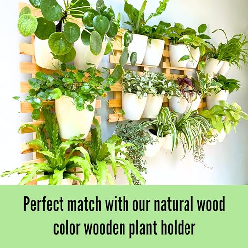 LaLaGreen Wall Planter for Indoor Plants (5in, 10 Pack) White Self-Watering - size: 5" (12.5 cm)