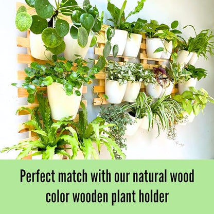LaLaGreen Wall Planter for Indoor Plants (5in, 10 Pack) White Self-Watering - size: 5" (12.5 cm)