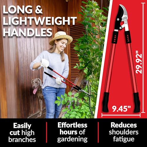 TABOR TOOLS GG11A Bypass Lopper with Compound Action, 30 Inch Tree Trimmer & Branch Cutter, Heavy Duty Tree Pruner with 1 3/4 Inch Cut Capacity, Delivers Clean Cuts with Ease - style: GG11A 30 Inch Bypass Lopper