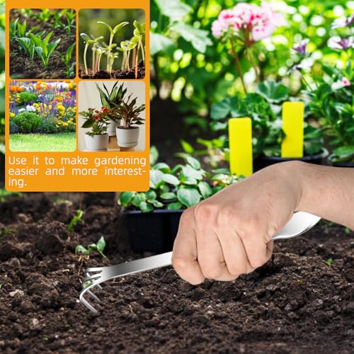 Stainless Steel 3 Prong Root Rake Pick Set Loosen Soil Bonsai Tree Tool Set
