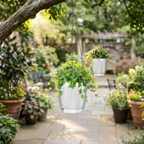 QCQHDU 7.2 Inch Self Watering Hanging Planters for Indoor Outdoor Plants,2 Pack Flower Pots Hanging Basket,Plastic Plant Hanger with Drainage Holes and 3 Hooks for Window Porch Garden Balcony, (Clear) - color: Clear, size: 7.2"+7.2"