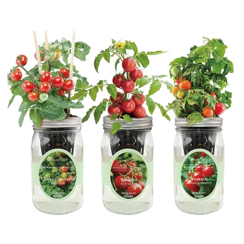 Hydroponic Mason Jar Indoor Garden Organic Seed Starter Kits - Tomato Trio Garden Growing Kits, Gardening Gift (Red Robin Tomato, Cherry Tomato - Tiny Tim, Sweetie Cherry Tomato) - color: Tomato Trio Garden Kits