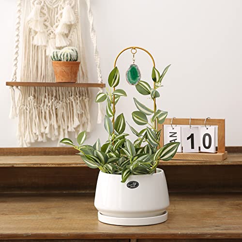 2PCS Small Gold Plant Trellis for Indoor Potted Climbing Plants with Agate - color: 03-Green Rosered