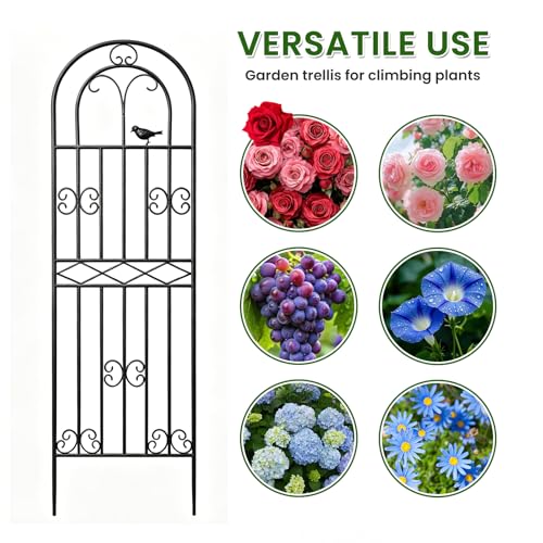 1 Pack 78.7"x19.7" Metal Gardon Trellis for Climbing Plants Outdoor,Black - size: 1P: 78.7" H x 19.7" W