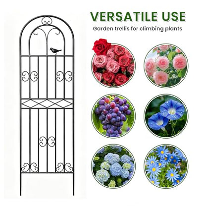 1 Pack 78.7"x19.7" Metal Gardon Trellis for Climbing Plants Outdoor,Black - size: 1P: 78.7" H x 19.7" W