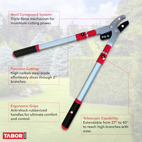 TABOR TOOLS GG22A Extendable Anvil Lopper with Compound Action, 27-40 Inch Telescopic Tree Trimmer & Branch Cutter, Long Reach Tree Pruner with 1 3/4 Inch Cut Capacity, Chops Thick Dry Branches w Ease - style: GG22A 27"-40" Extendable Anvil Lopper with le