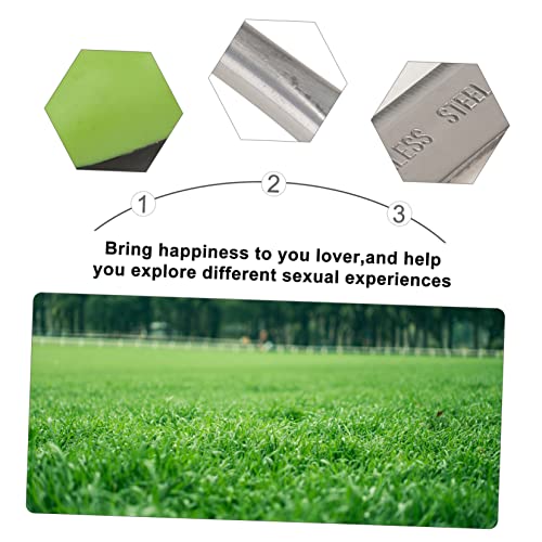 Toyvian L-Shaped Weeder Tool Manual Weed Extractor Stainless Steel