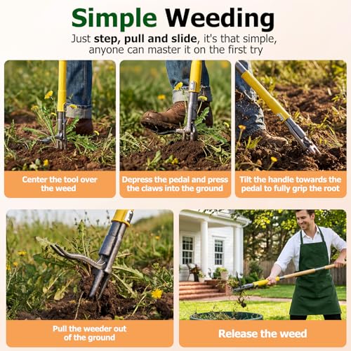 Stand Up Weed Puller Tool with Slide-Release System, Effortless Weeder for Lawn & Garden, 3-Section Wood Handle for Easy Storage, Adjustable Long Handle Weeding Tool for Garden Dandelions & Thistles