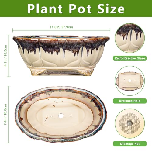 Ceramic Bonsai Tree Pots - 11 Inch Succulent Pots with Drainage Hole, Decorative Bonsai Pot for Indoor Outdoor Plants, Succulent Planters, Front Porch Decor, Gardening Gifts, Oval Beige-Brown - color: Oval Beige-brown, size: 11 Inch