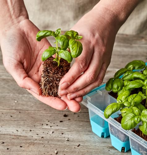 Burpee SuperSeed 36-Cell Reusable Seed Starting Tray for Indoor Seedlings - size: 36 Cells