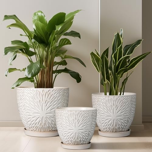 G EPGardening 8 Inch Ceramic Plant Pot with Drainage Hole and Saucer, White