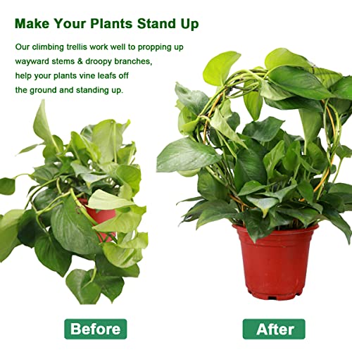 2 Pack Circle Trellis for Climbing Plants Indoor, 15" Gold Small Plant Support Stakes, Flower Houseplant Hoya Support for Potted Plants & Garden Stem Vines