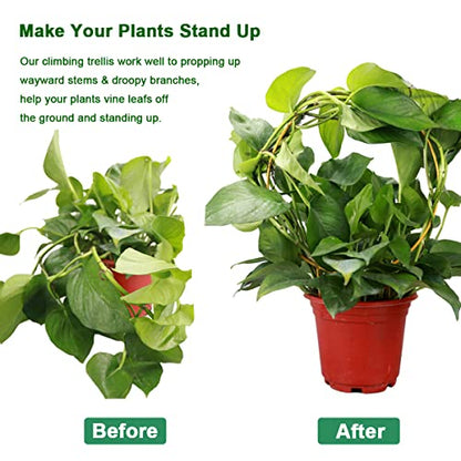 2 Pack Circle Trellis for Climbing Plants Indoor, 15" Gold Small Plant Support Stakes, Flower Houseplant Hoya Support for Potted Plants & Garden Stem Vines