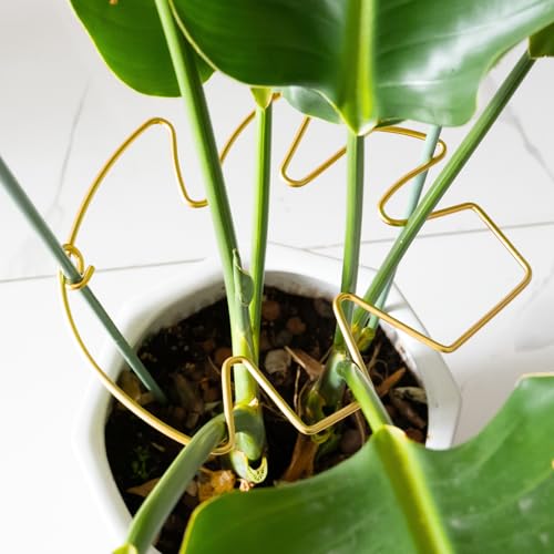 Monstera Plant Support Stem Stabilizer-5PCS Stem Holder (9 × 7.6 in) - size: 9 x 7.6 inches