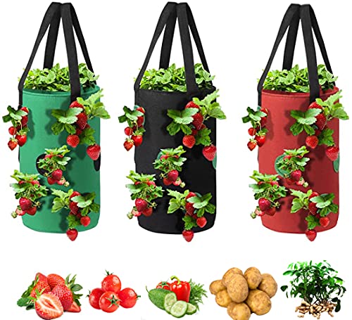 Upside Down Tomato Planter-3 Gallon Hanging Strawberry Planter Durable Aeration Fabric Grow Bags for Vegetables (Set of 3- Red，Green and Black) - color: Set of 3- Red，green and Black
