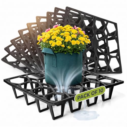 Plant Riser – Pot Spacer for Grow Bags, Planters & Containers – UV-Resistant Drainage Tray for Airflow, Root Health & Cleaner Surfaces (Standard Black, 10 Pack) - color: Standard Black, size: 10 Pack
