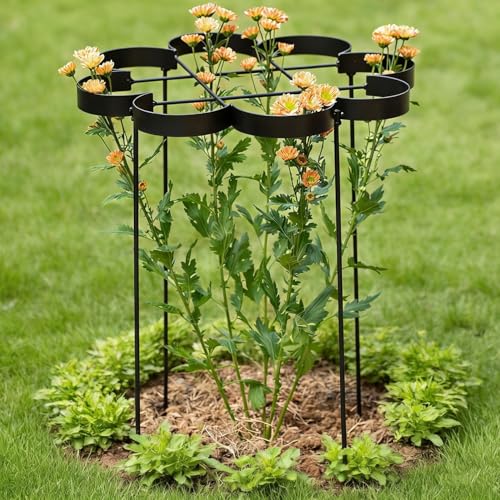 25" Peony Cages and Supports Elegant Modern Flower Support Stakes - color: Black