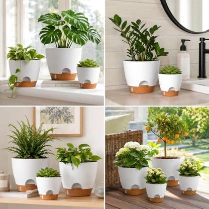 Large Self Watering Pots for Indoor Plants, 12/10/9/8 Inch White