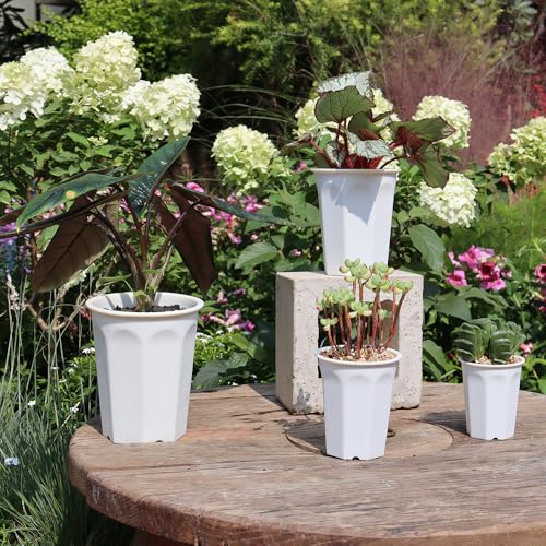 8 Pack 6.10 Inch White Plastic Deep Nursery Pot and Seedling Planter for Succulent, Cutting, Transplanting - color: White, size: 6.10 inch