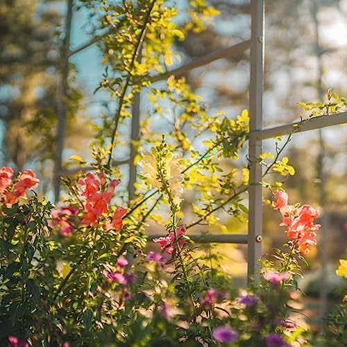 Vego Garden Modular Arched Trellis System 7.0' Long Trellis for 2.5' x 9.5' Garden Bed for Climbing Plants Like Cucumber Beans Tomatoes & Vines (Garden Beds Not Included) - size: 7.0 Ft Long