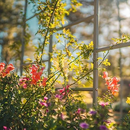 Vego Garden Modular Arched Trellis System 7.0' Long Trellis for 2.5' x 9.5' Garden Bed for Climbing Plants Like Cucumber Beans Tomatoes & Vines (Garden Beds Not Included) - size: 7.0 Ft Long