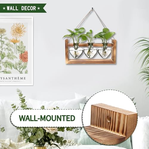 Plant Terrarium Propagation Stations Hydroponics - color: Gray(Faith Hope Love)