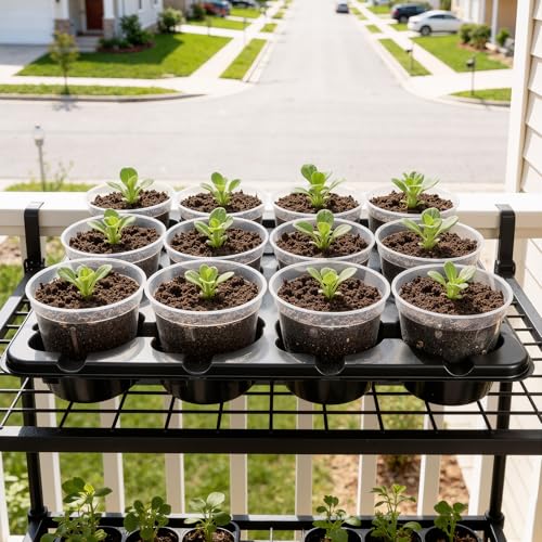homenote 2 Pack 12 Cell Seed Starter Trays with 24 Clear 4 Inch Plant Pots - size: 4 Inch, style: 2 Pack Seed Starter Tray+Nursery Pots