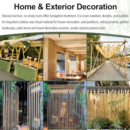 Natural Bamboo Plant Stakes (8ft-10PCS) - size: 8ft-10PCS