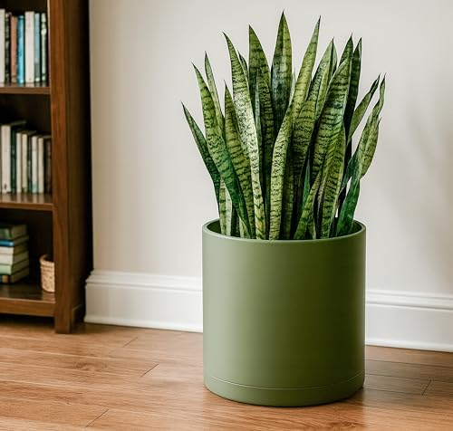 D'vine Dev Plastic Planter Pot with Saucer, 14 in, Olive, 74-X-I-4 - color: Olive, size: 14 Inch