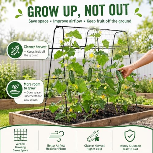 63x63 Cucumber Trellis for Raised Garden Bed, Black - size: 63" x 16" x 63"