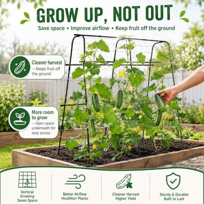 63x63 Cucumber Trellis for Raised Garden Bed, Black - size: 63" x 16" x 63"