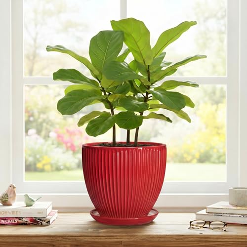 Ceramic Flower Pots 8 Inch, Ceramic Planters with Saucer, Red - color: Red, size: 8 Inch