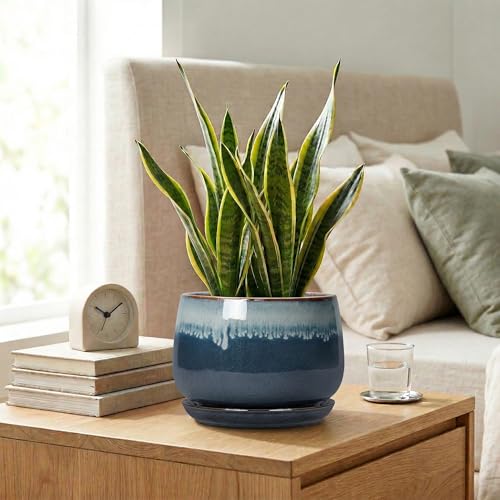 7 Inch Plant Pot Indoor, Ceramic Plant Pots, Retro Blue - size: 7 Inch, style: Retro