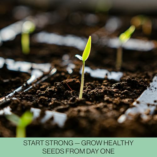 The Hydroponic City Seed Starter Trays, 216-Cell Seedling Starter Trays (36 Trays - 6 Cells Each) + Plant Stakes - size: 36 Trays (216 Cells)