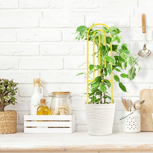 4 Pcs Plant Trellis Indoor Gold Small Trellis for Potted Plants - style: Boho,Gold