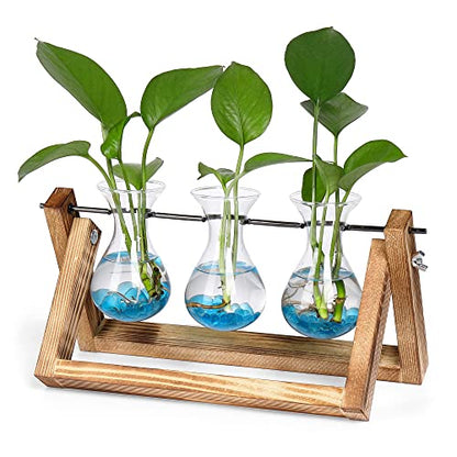 Plant Propagation Station Accessories, 2 Pack Glass Hyacinth vase
