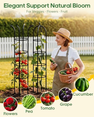 2 Pack 6.2ft High Adjustable Garden Trellis for Climbing Plants, Black